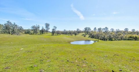 13012 Highway 124, Ione, CA 95640 Photo