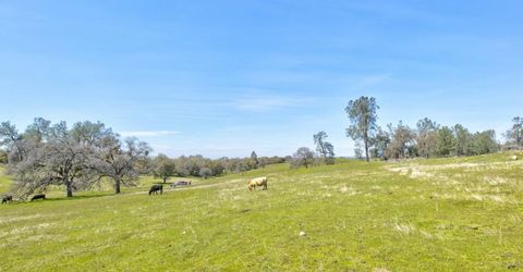 13012 Highway 124, Ione, CA 95640 Photo