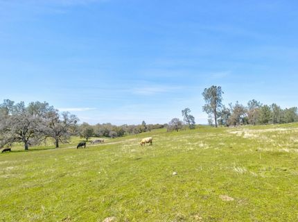 13012 Highway 124, Ione, CA 95640 Photo