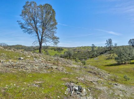 13012 Highway 124, Ione, CA 95640 Photo