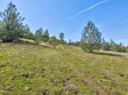 13012 Highway 124, Ione, CA 95640 Photo