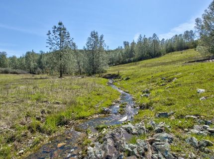 13012 Highway 124, Ione, CA 95640 Photo
