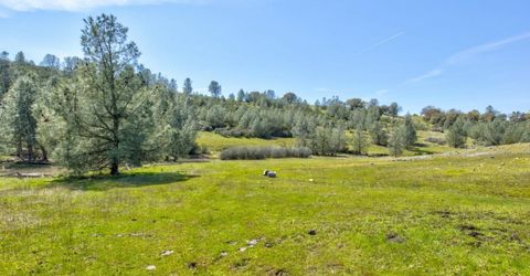 13012 Highway 124, Ione, CA 95640 Photo