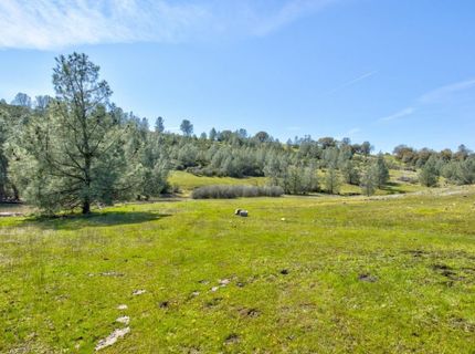 13012 Highway 124, Ione, CA 95640 Photo