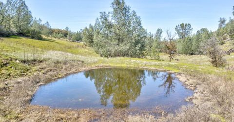 13012 Highway 124, Ione, CA 95640 Photo