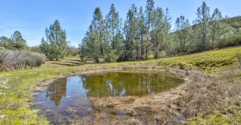 13012 Highway 124, Ione, CA 95640 Photo