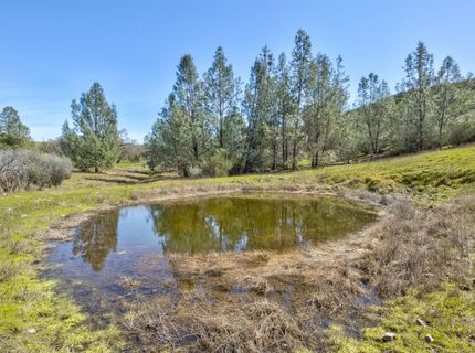 13012 Highway 124, Ione, CA 95640 Photo