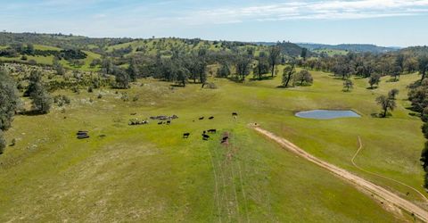 13012 Highway 124, Ione, CA 95640 Photo