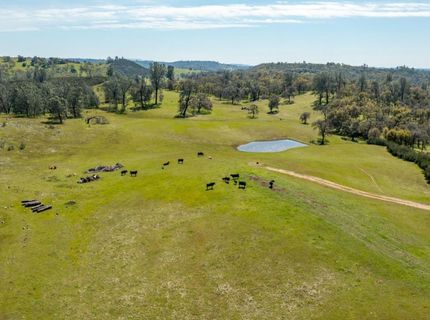 13012 Highway 124, Ione, CA 95640 Photo