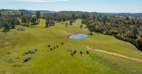13012 Highway 124, Ione, CA 95640 Photo