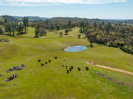 13012 Highway 124, Ione, CA 95640 Photo