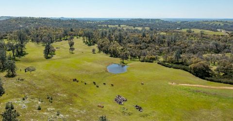 13012 Highway 124, Ione, CA 95640 Photo