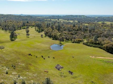 13012 Highway 124, Ione, CA 95640 Photo