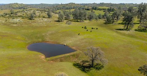 13012 Highway 124, Ione, CA 95640 Photo