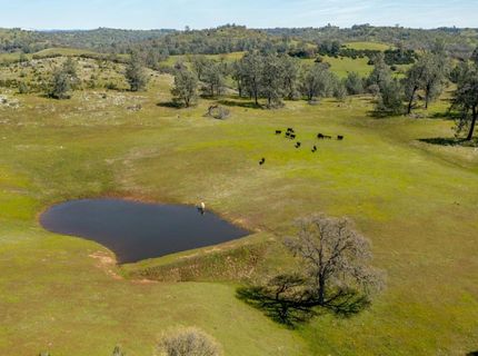 13012 Highway 124, Ione, CA 95640 Photo