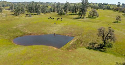 13012 Highway 124, Ione, CA 95640 Photo