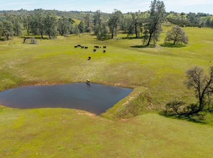 13012 Highway 124, Ione, CA 95640 Photo