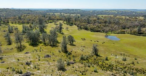 13012 Highway 124, Ione, CA 95640 Photo