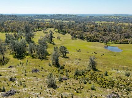 13012 Highway 124, Ione, CA 95640 Photo