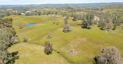 13012 Highway 124, Ione, CA 95640 Photo