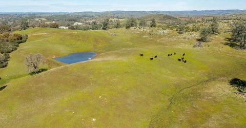 13012 Highway 124, Ione, CA 95640 Photo