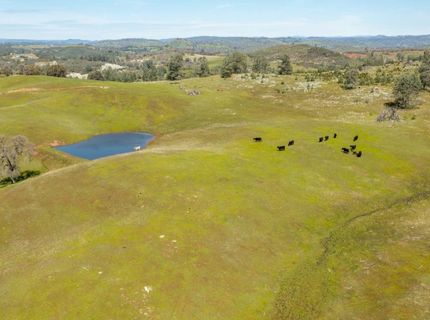 13012 Highway 124, Ione, CA 95640 Photo