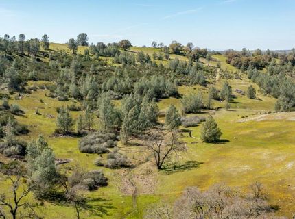 13012 Highway 124, Ione, CA 95640 Photo