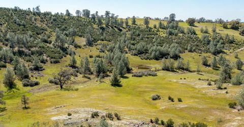 13012 Highway 124, Ione, CA 95640 Photo