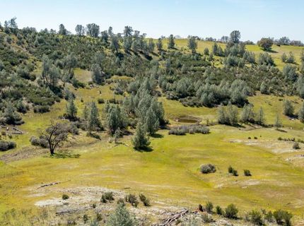 13012 Highway 124, Ione, CA 95640 Photo