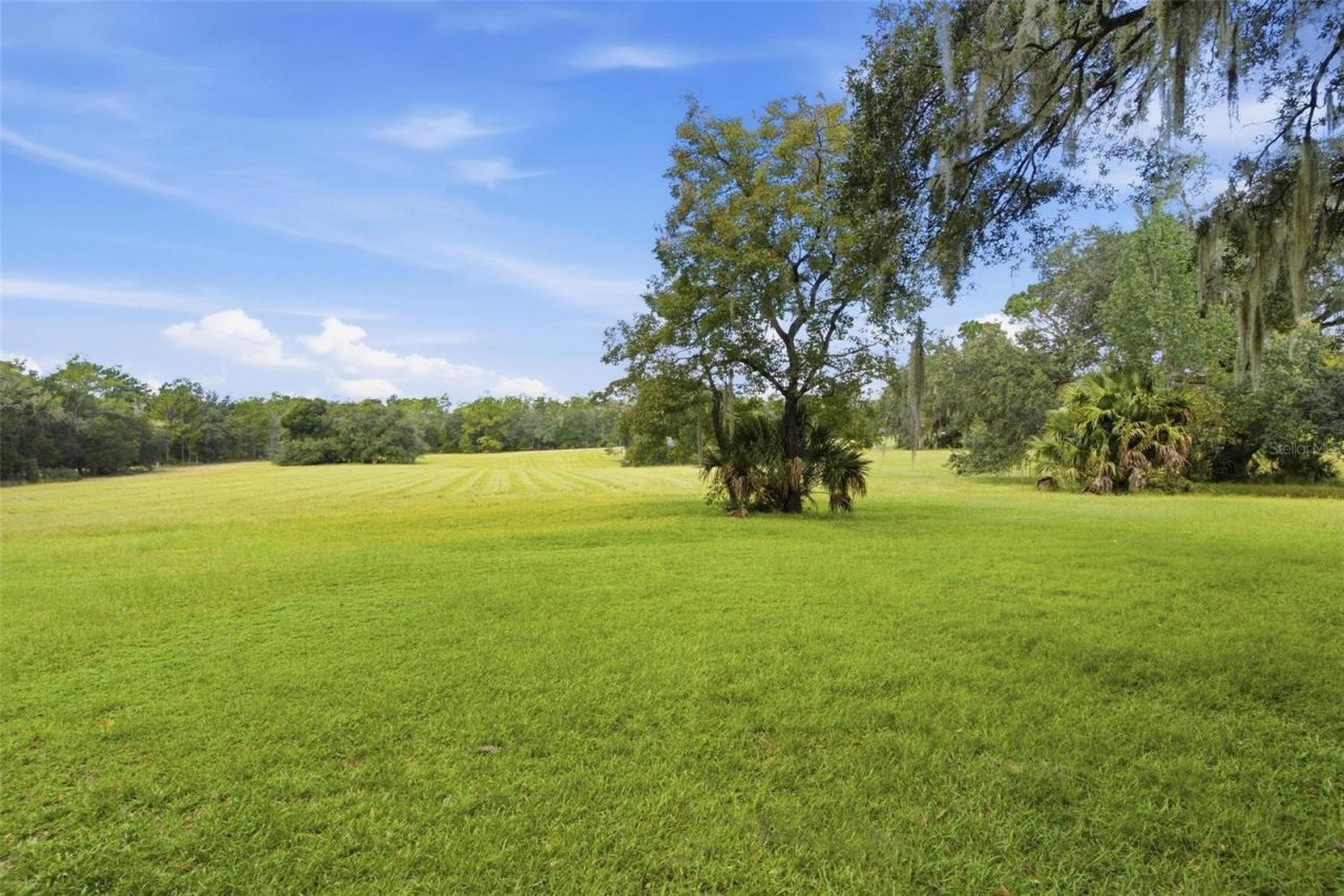 29025 SE 150th Street, Altoona, FL 32702 Photo