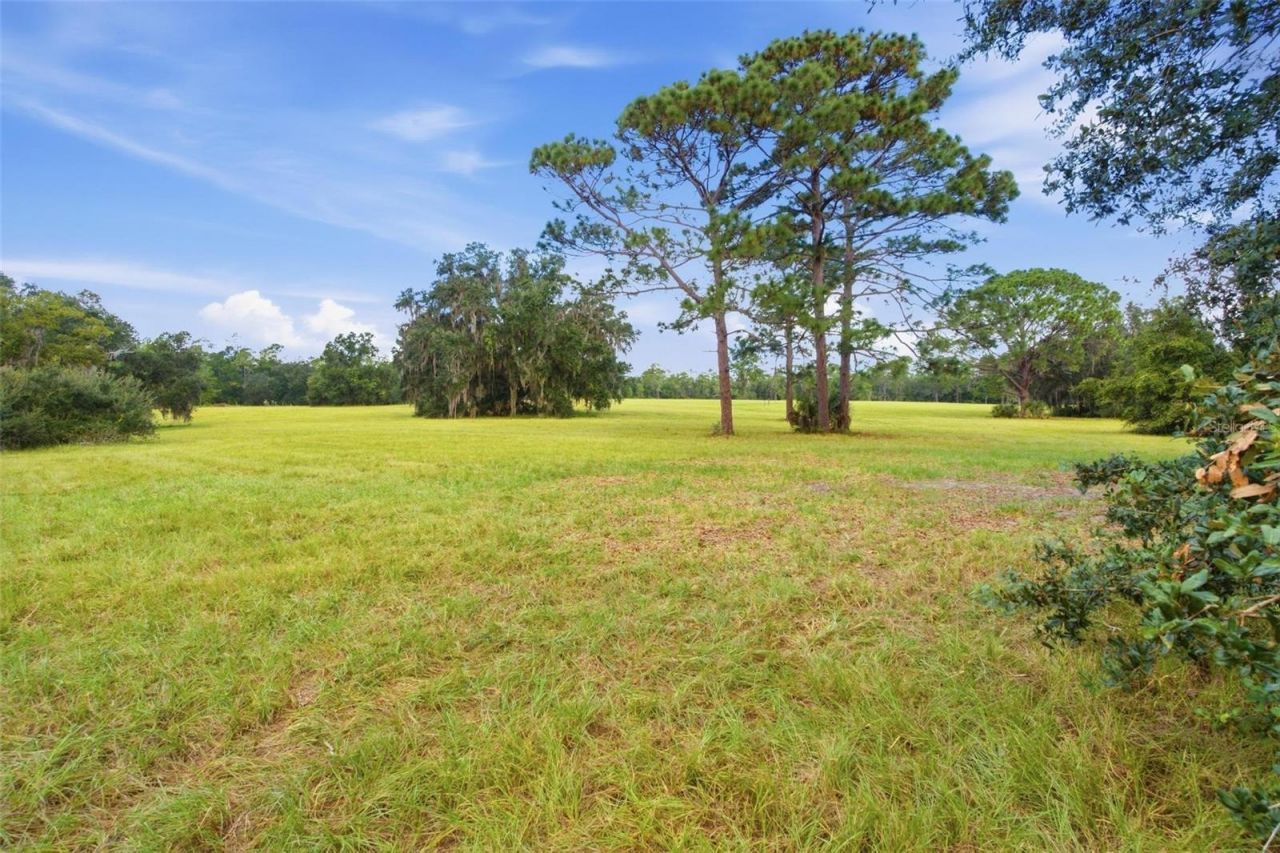 29025 SE 150th Street, Altoona, FL 32702 Photo