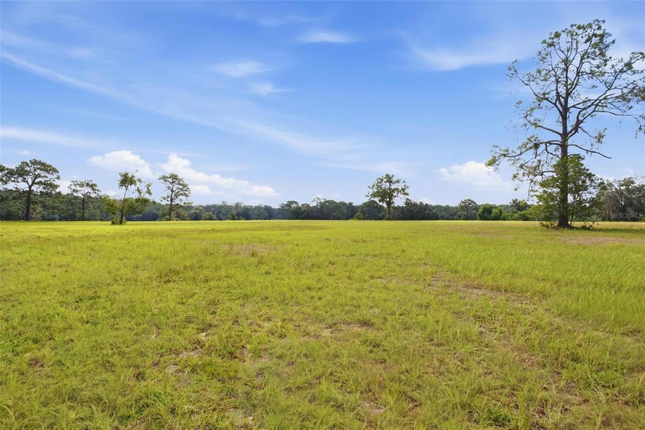 29025 SE 150th Street, Altoona, FL 32702 Photo