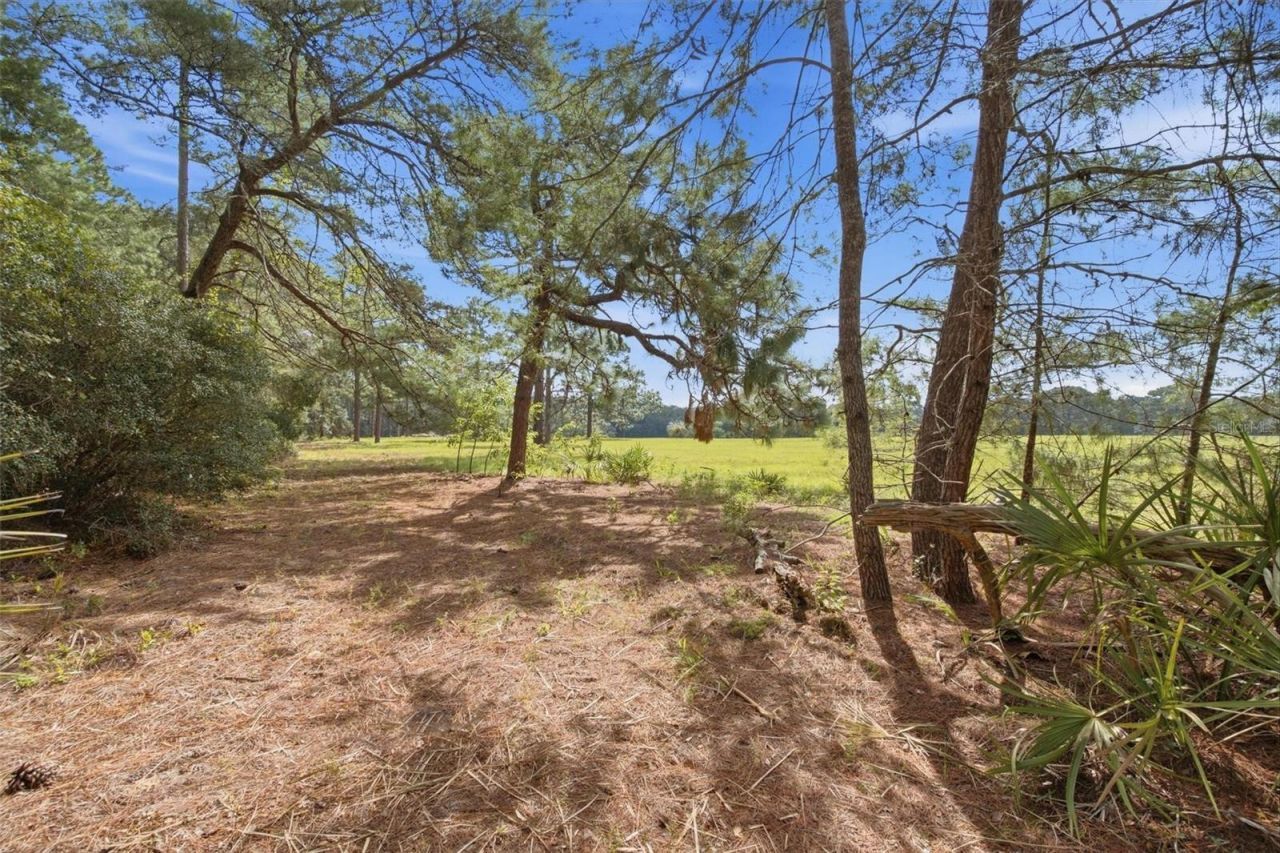 29025 SE 150th Street, Altoona, FL 32702 Photo
