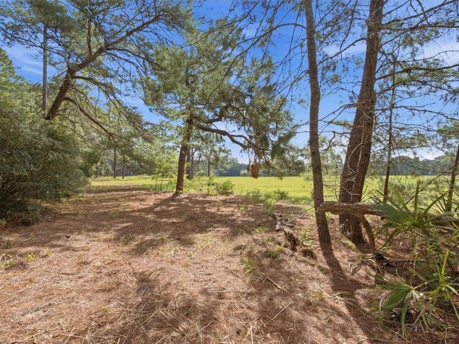 Property Image 55