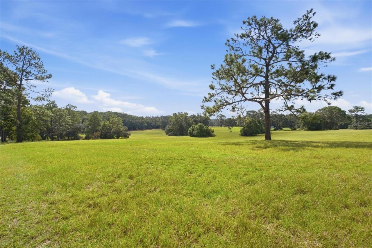 29025 SE 150th Street, Altoona, FL 32702 Photo