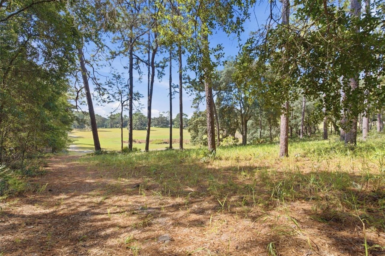 29025 SE 150th Street, Altoona, FL 32702 Photo