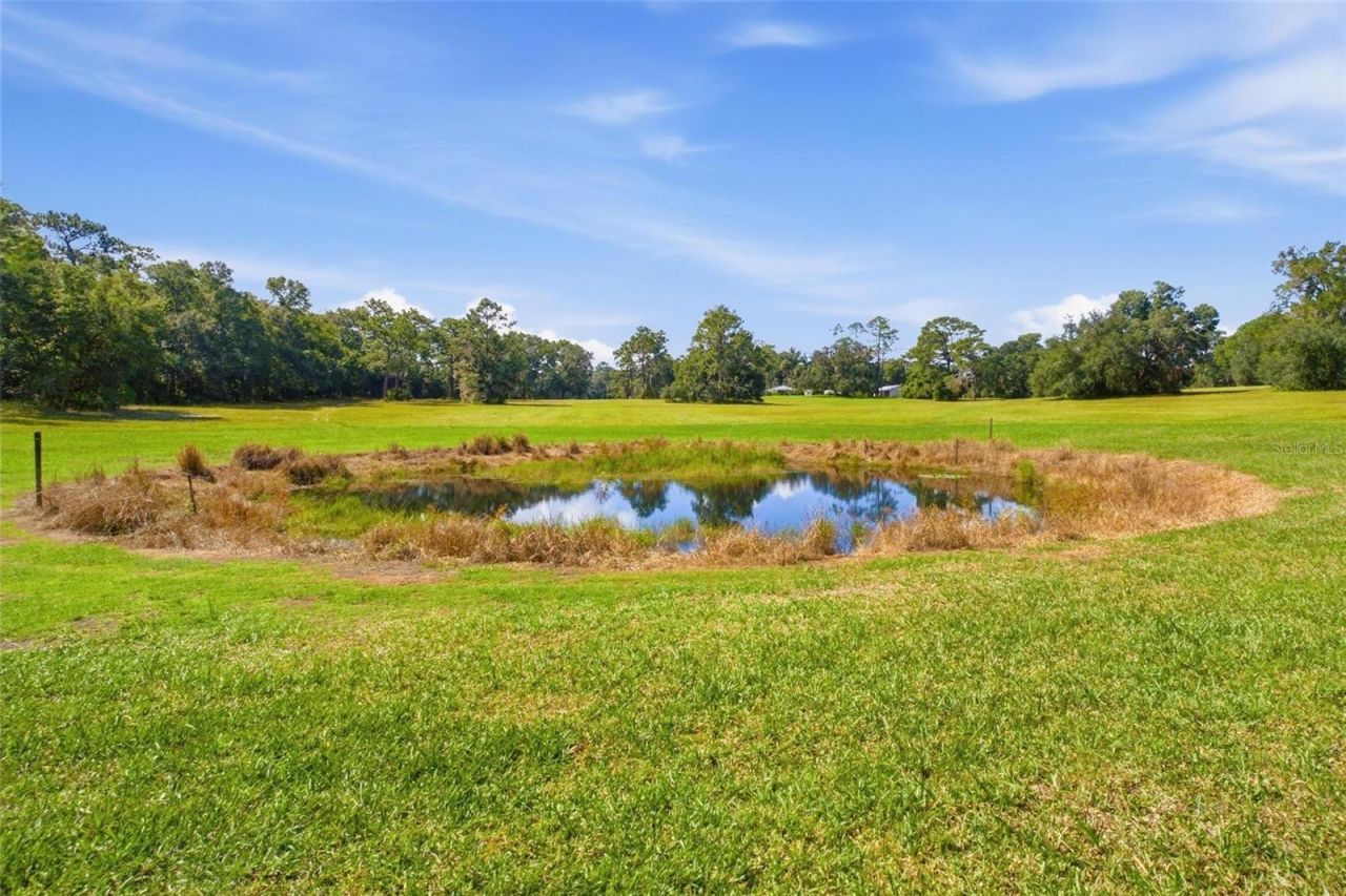 29025 SE 150th Street, Altoona, FL 32702 Photo