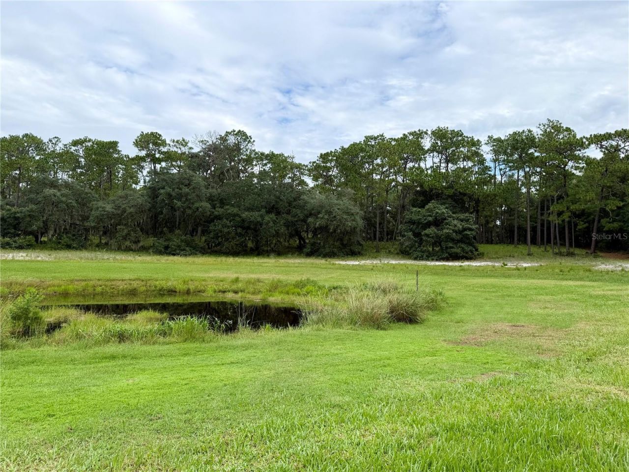 29025 SE 150th Street, Altoona, FL 32702 Photo