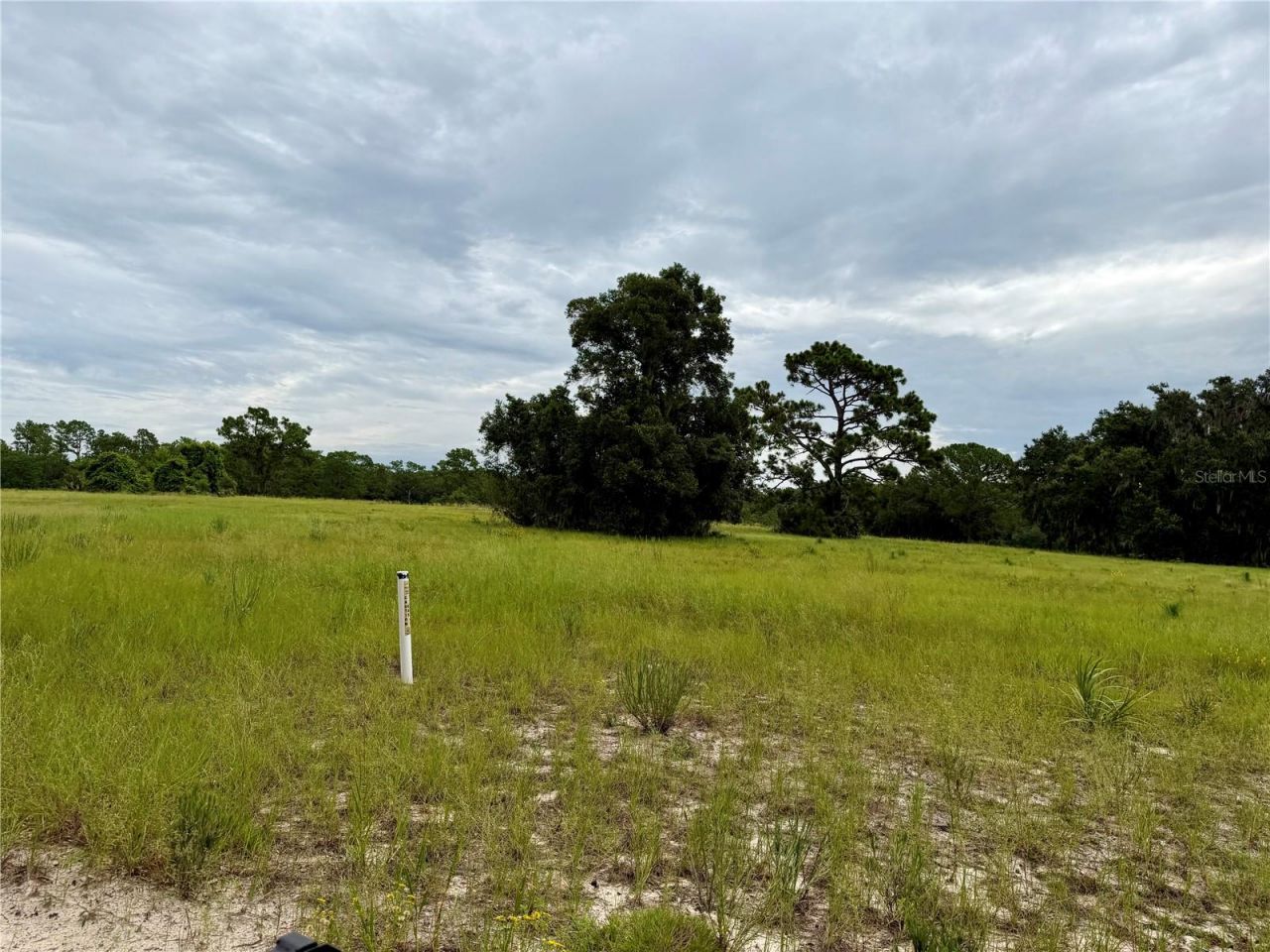 29025 SE 150th Street, Altoona, FL 32702 Photo