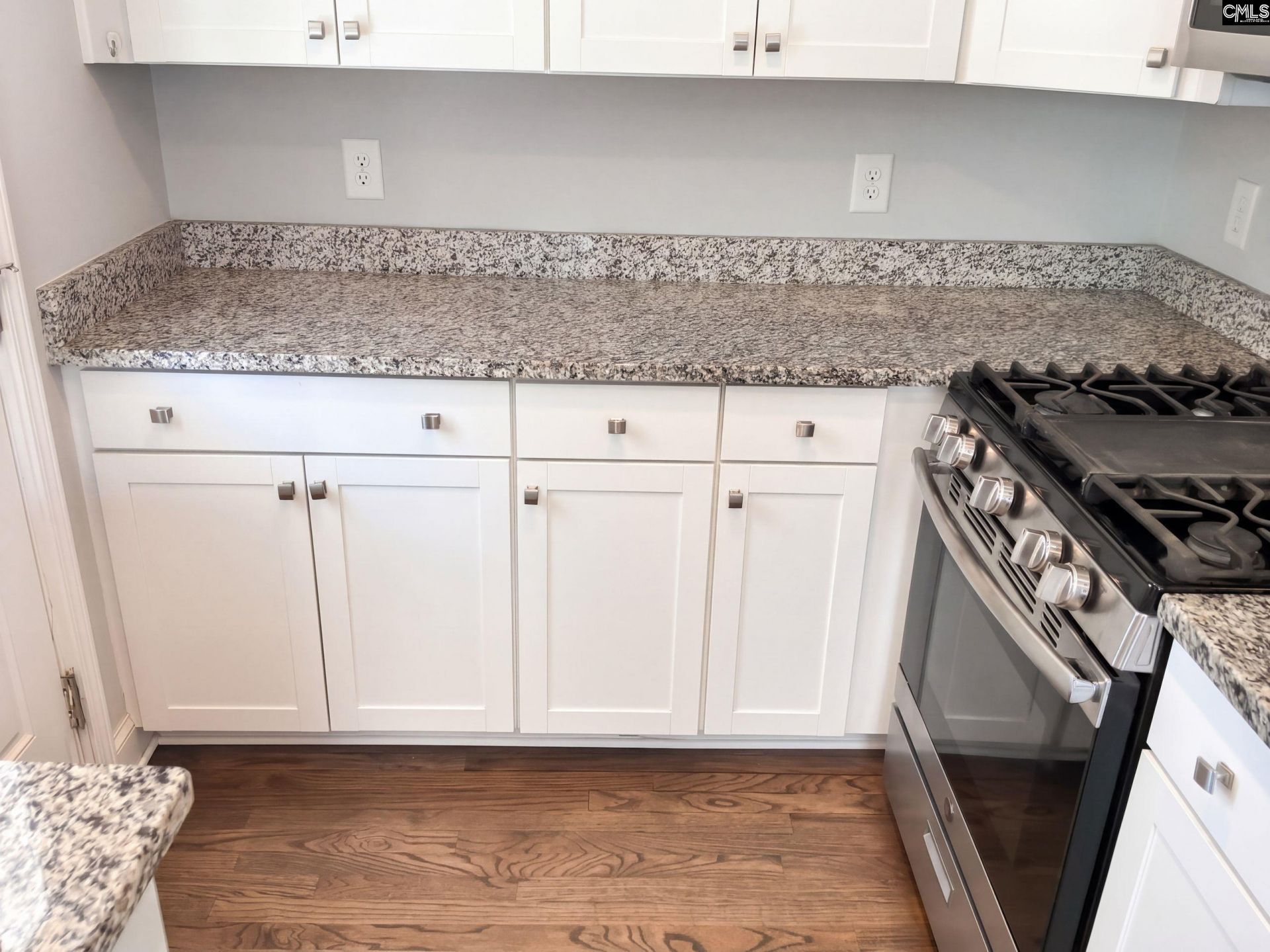 1005 Brandon Avenue  Photo 14