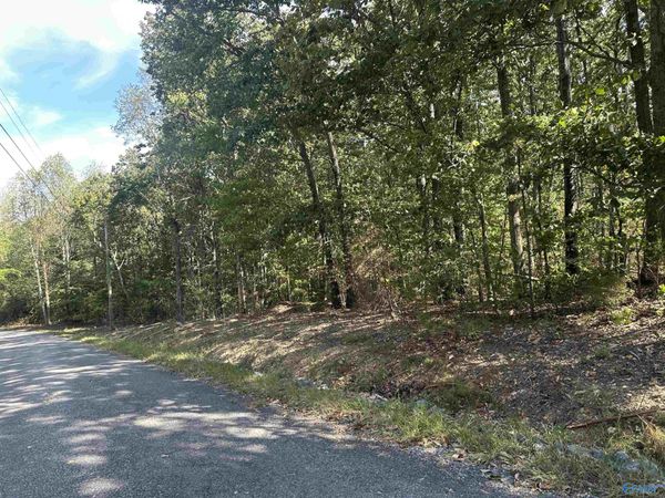 3 acres County Road 1025, Fort Payne, AL 35967