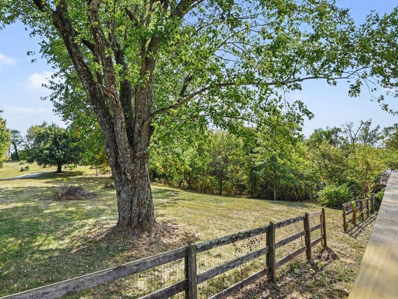 12058 Bowman Road, Independence, KY 41051 Photo 27