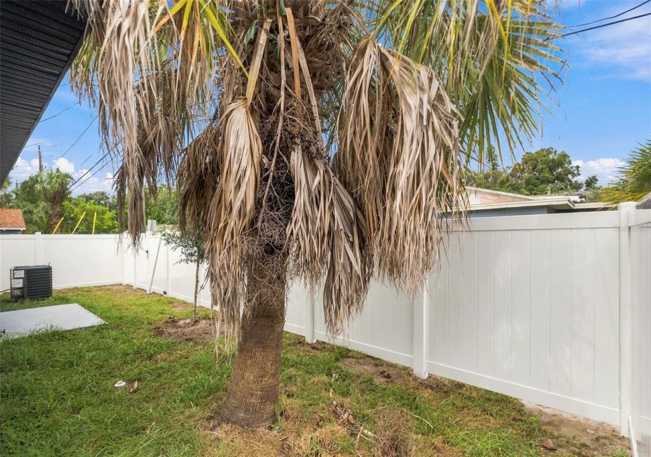 3009 Melrose Avenue S, Saint Petersburg, FL 33712 Photo