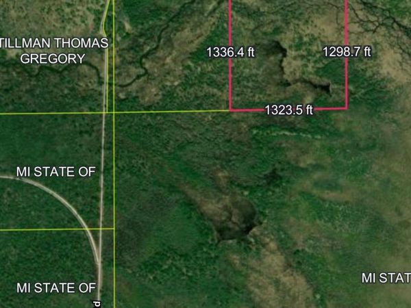 000 County Road 442, McMillan, MI 49853