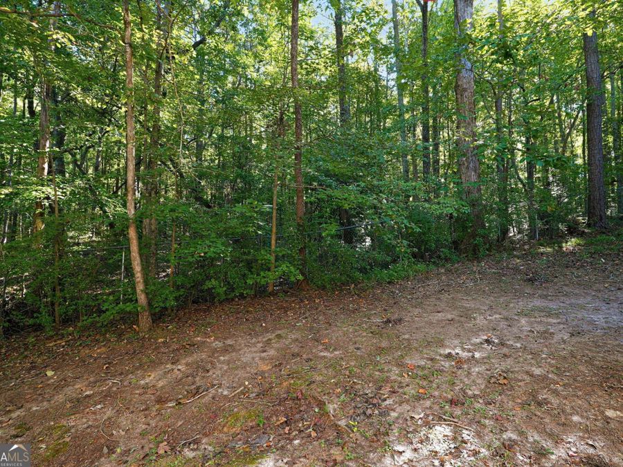 Property Image 45
