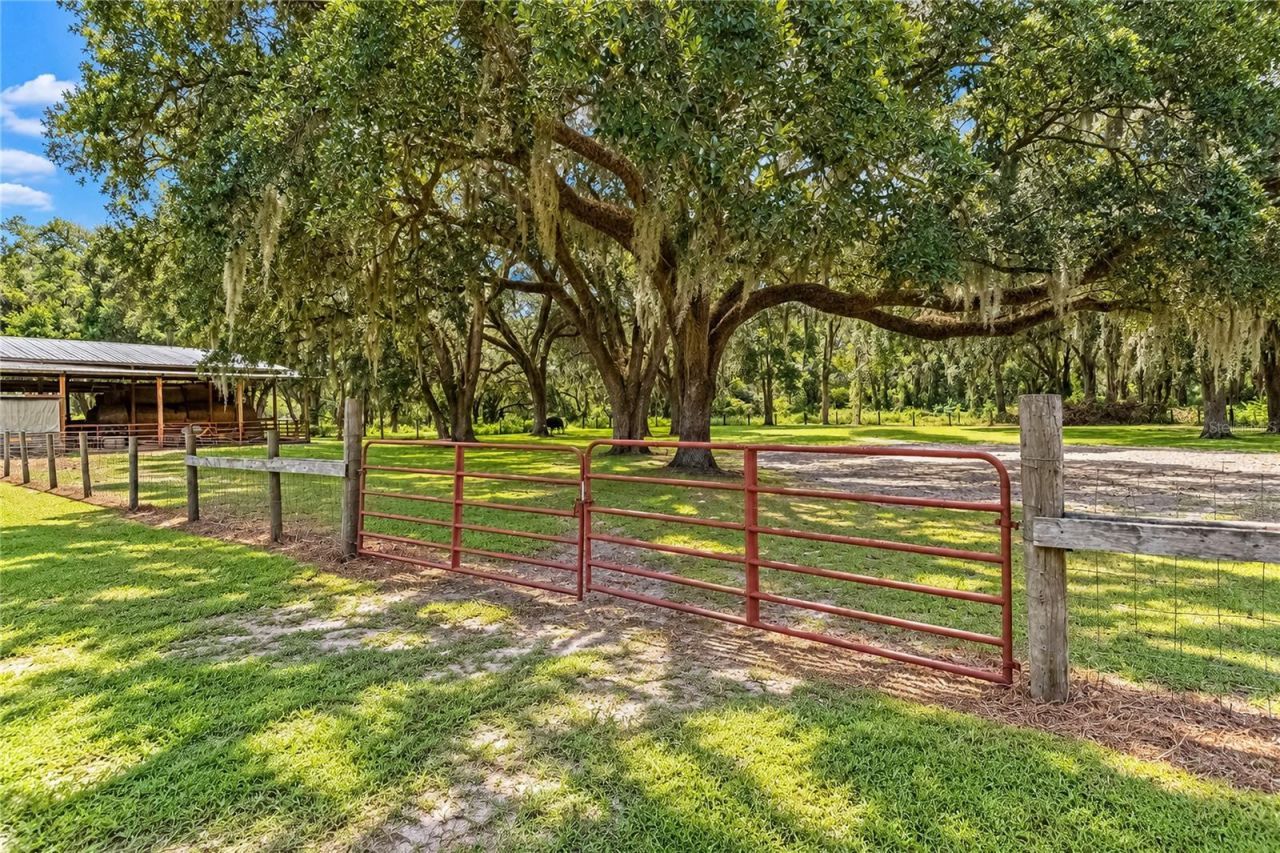 7590 NW 75th Street, Chiefland, FL 32626 Photo