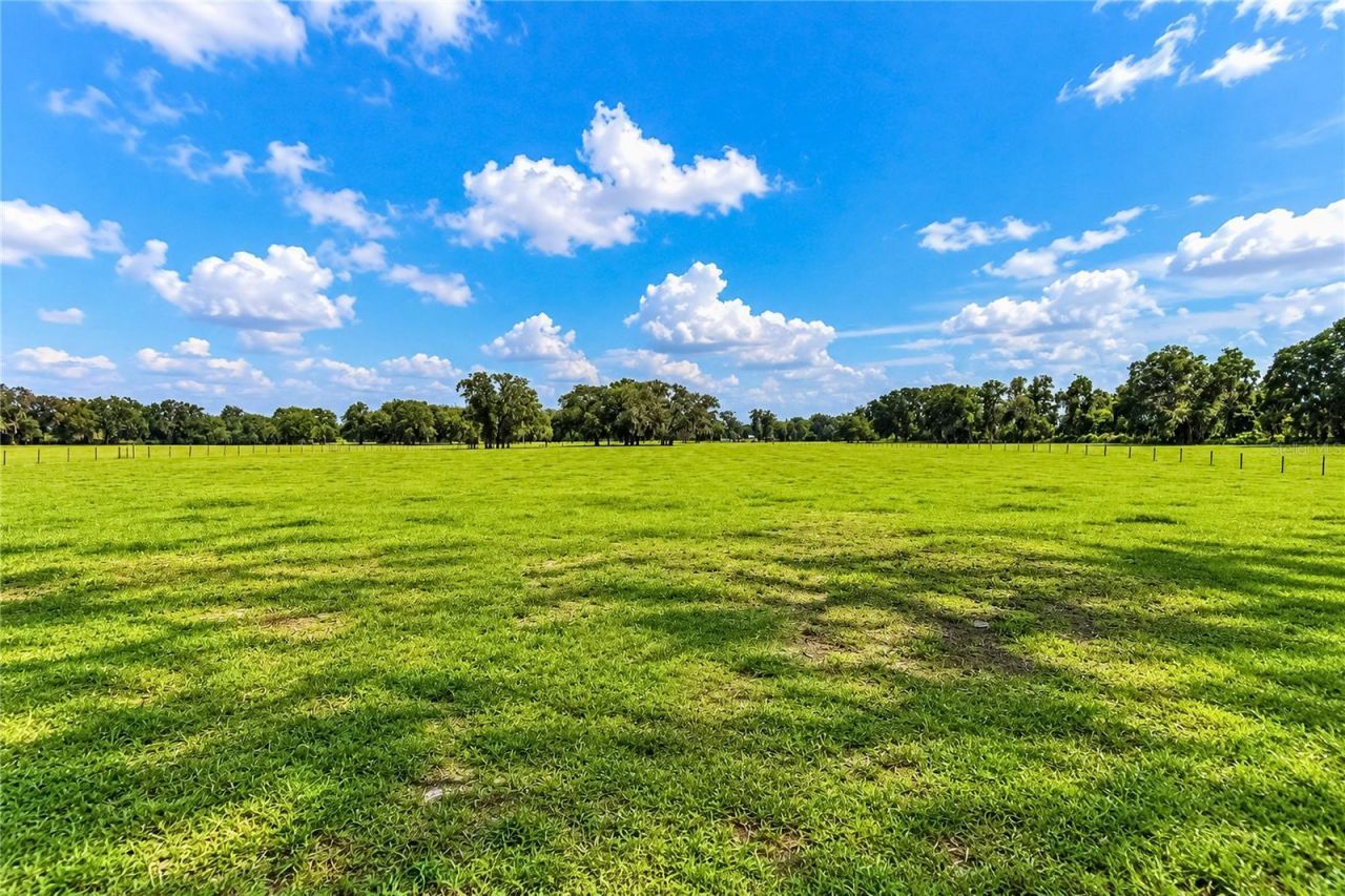 7590 NW 75th Street, Chiefland, FL 32626 Photo