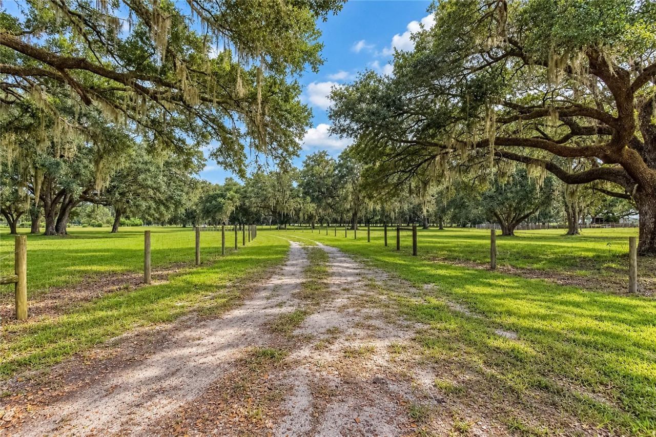 7590 NW 75th Street, Chiefland, FL 32626 Photo