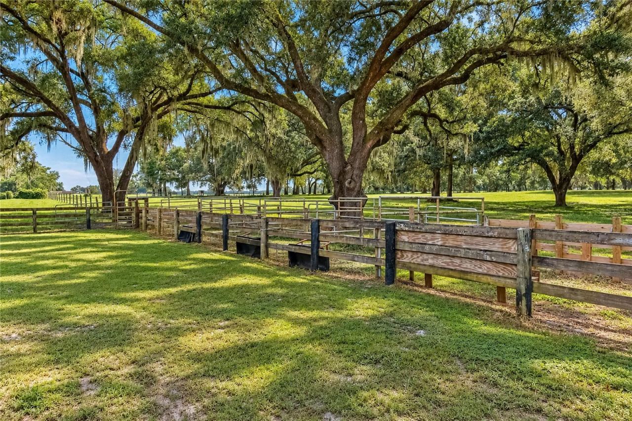 7590 NW 75th Street, Chiefland, FL 32626 Photo