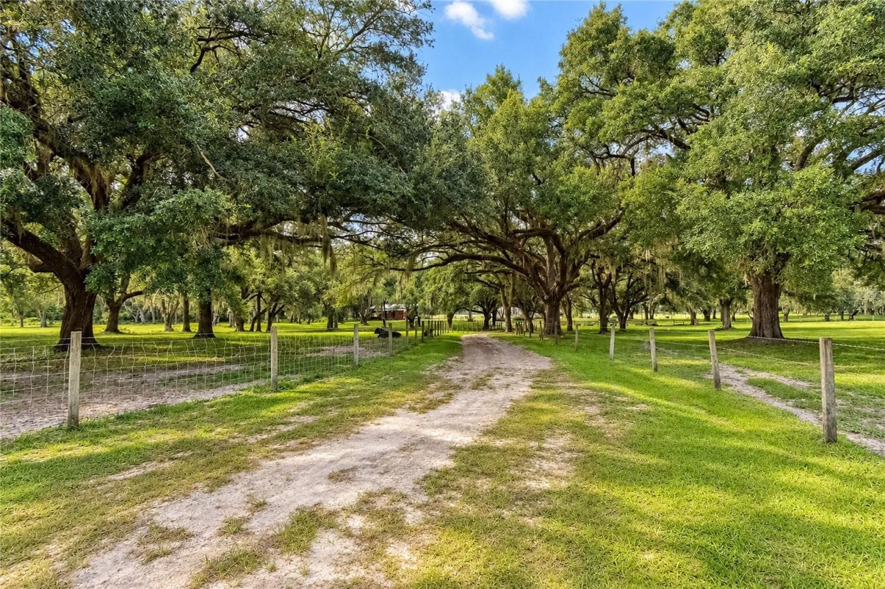 7590 NW 75th Street, Chiefland, FL 32626 Photo